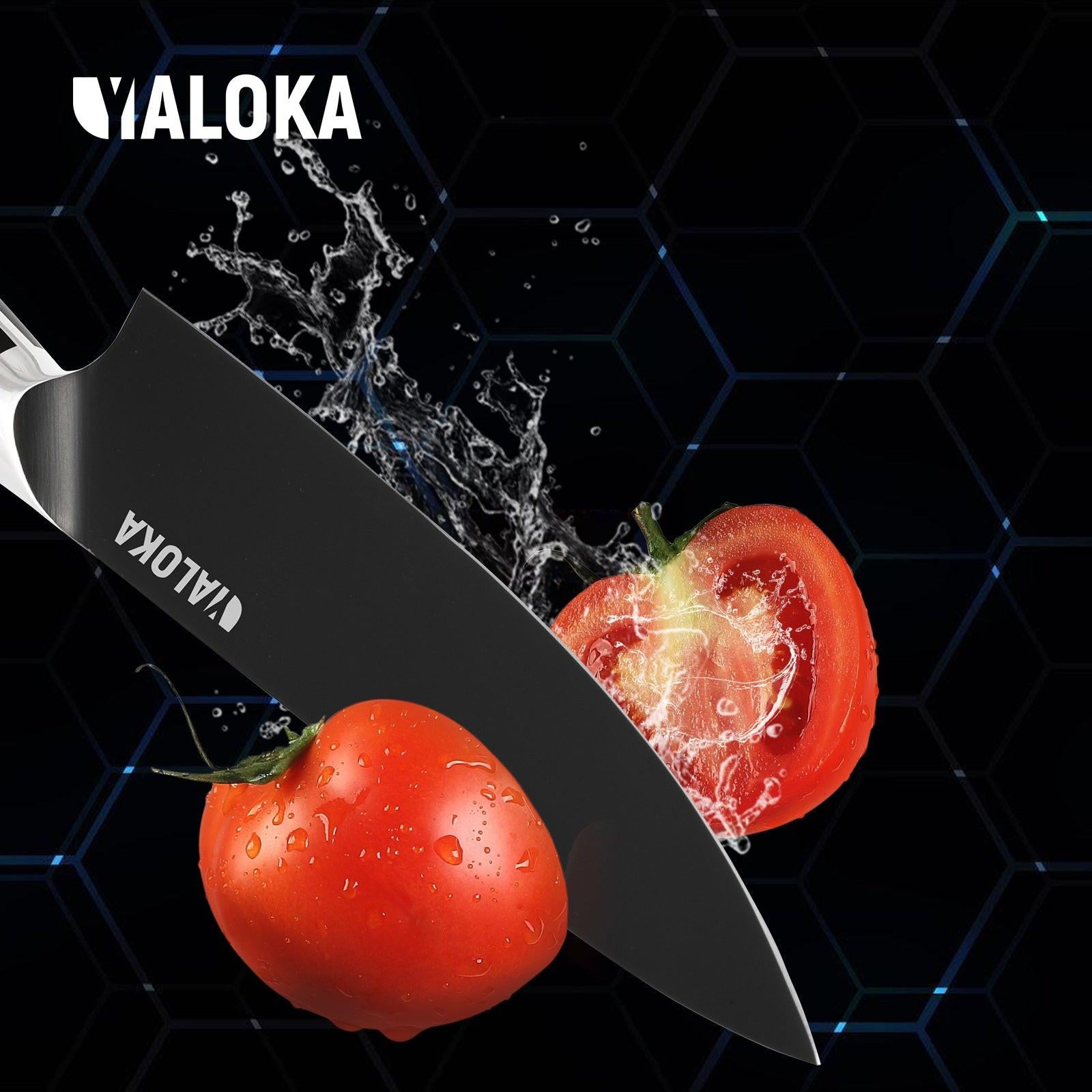 Japanese Kitchen Knife REINA.